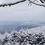 Brohltal-aue