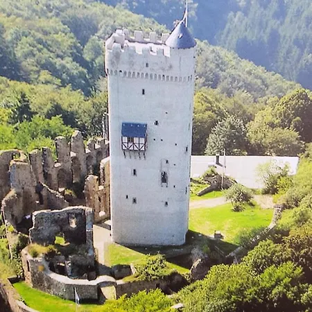 Brohltal-aue *