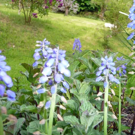 Brohltal-aue Burgbrohl