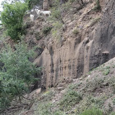 Brohltal-aue