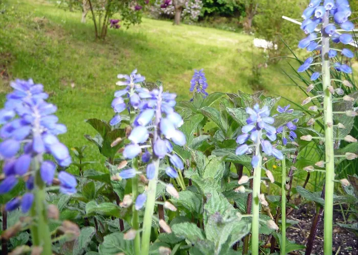 Brohltal-aue Burgbrohl