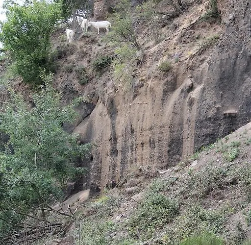 Brohltal-aue