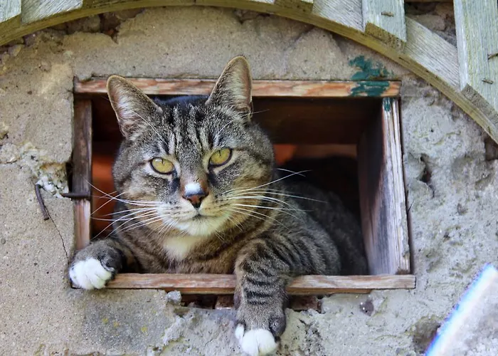 Brohltal-aue דירה *