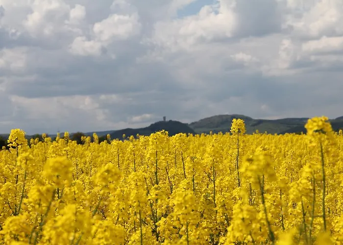 Apartmán Brohltal-aue *